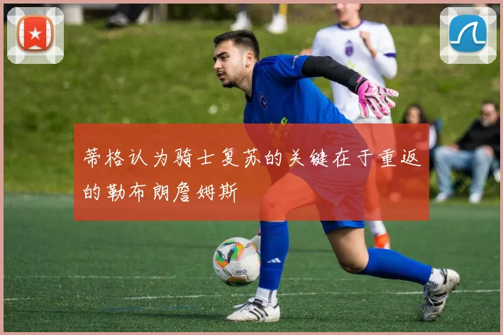 蒂格认为骑士复苏的关键在于重返的勒布朗詹姆斯